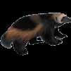 5 These social mammals live in underground burrows and hibernate during the fall and winter.