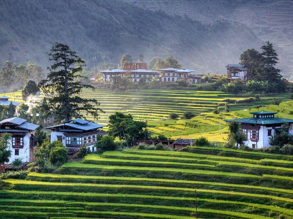 Thimpu Bhutan Htel: Htel Naksel Resrt & Spa & Htel KISA - 4