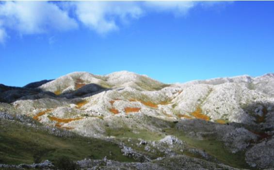 Zona e kullotave malore është tepër e kufizuar, në lartësitë mbi 1500 m.