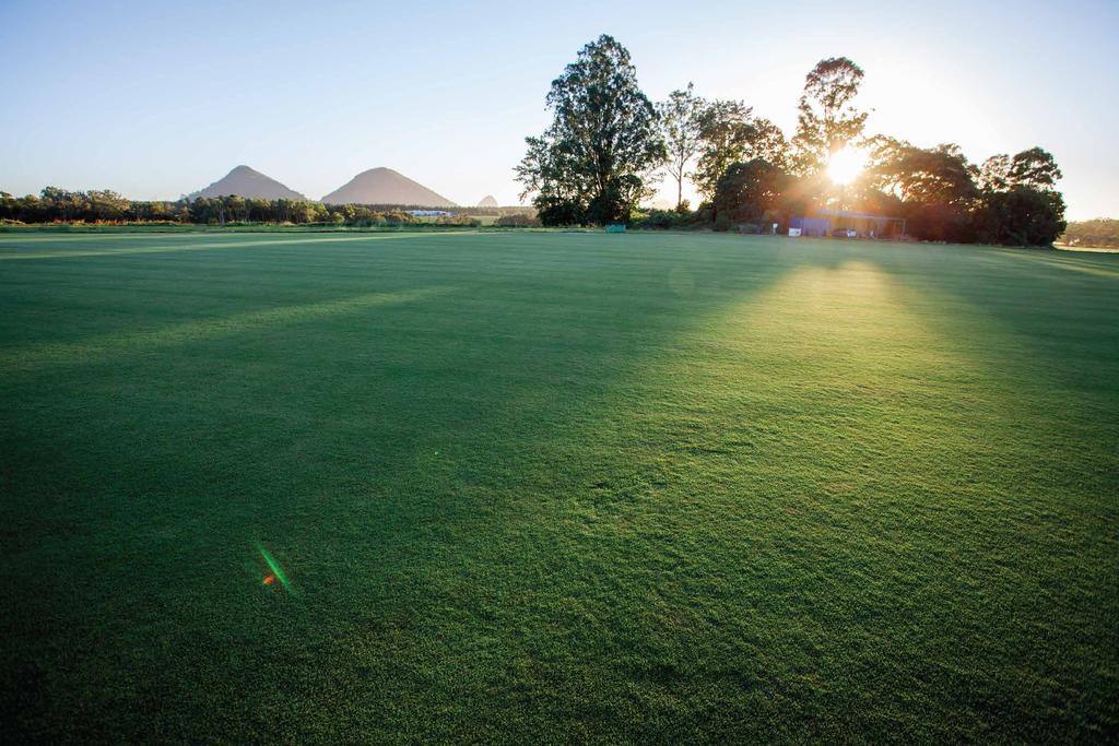 MEET BRISBANE S PREMIER TURF SUPPLIER What you can expect from