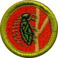 Merit Badge Suggested Age Capacity Prerequisite Comments Archaeology