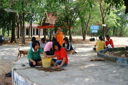 Local school children volunteered in