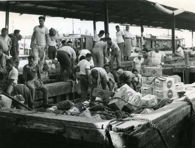 for foreign vessels and consisted of small jetties and landings Unloading lighter at Apia Wharf, Samoa, around 1975-85.