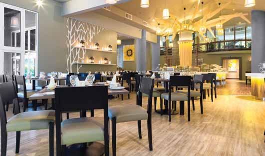 IOI PROPERTIES GROUP BERHAD (1035807-A) MANAGEMENT DISCUSSION AND ANALYSIS GROUP FINANCIAL REVIEW Palms Cafe, Palm Garden Hotel THE GROUP S DIVIDEND EQUATES TO A DIVIDEND PAYOUT OF 36% OUT OF TOTAL