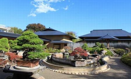 superb bonsai art museum are situated along peaceful paths in Omiya.