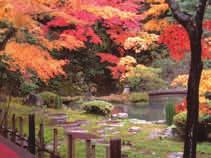 October & November The Zen garden at this small temple is simply