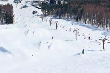 400ha total course length 80km more than 50 lifts and gondolas Kita-Shiga Kogen is a great place not only for