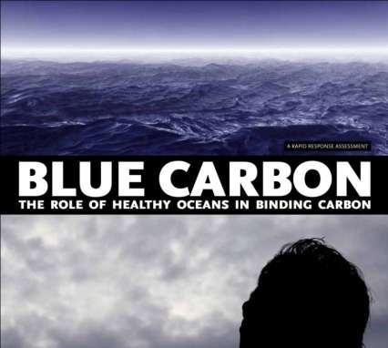 Global carbon cycle and Blue Carbon reported in