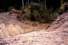 There is good reason why Flathead Forest Plan Amendment 19 and other definitions of road decommissioning require all stream-bearing culverts be removed and the slopes near streams returned to native