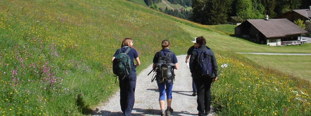 The peak of Tschenten offers amazing views along the Engstligen valley and so is perfect for a rest stop before hiking back down into Adelboden.