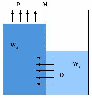 Princip osmoze (Osmotic power ili Salinity gradient power) Osmotske