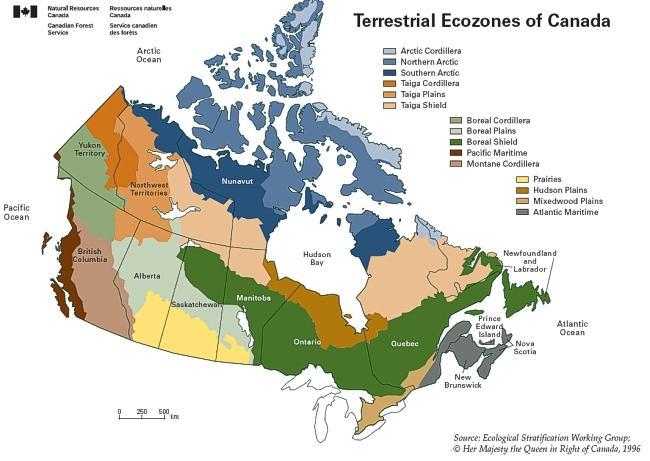 I.3 Eco-sites and Eco-regions The National Ecological Framework for Canada established by the Ecological Stratification Working Group in 1995 (Ecological Stratification Working Group, 1995) specifies