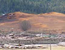 ) Količine drvnog ostatka se razvrstavaju prema izvoru sirovine odakle potiču to: - Biomasa iz šumarstva (ostaci iz sječa: