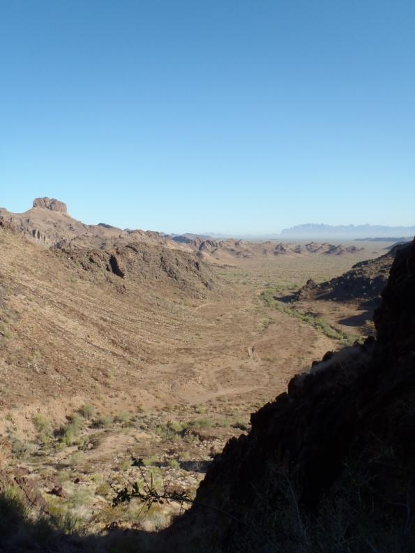 Background and Setting Kofa National Wildlife Refuge (Kofa) was established from public lands on January 25, 1939 by Executive Order 8039 and was reserved and set apart for the conservation and