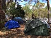 hookup, in a suggestive natural area under a Pinewood. Camping service is also available.