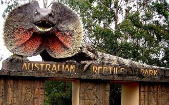WEEK FOUR Monday 22 nd January Australian Reptile Park Today we will be visiting the Australian Reptile Park on the Central Coast!