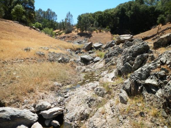 Site F25 F25 is a 54-m-long section of an unnamed perennial tributary to Don Pedro Reservoir, located below the high water line of Don Pedro Reservoir and within the FERC Project Boundary in Wreck