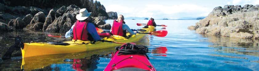 Spend your days learning Tlingit culture, whale watching, and visit two incredible wilderness areas. With InnerSea Discoveries, your viewpoint of Southeast Alaska will be unmatched by any other.