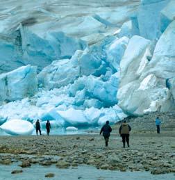 Southeast Alaska & Glacier Bay Unmatched Hands-on Exploration Shaped by massive glaciers over millions of years, the temperate rainforest of Southeast Alaska (also known as the Alaska Panhandle)