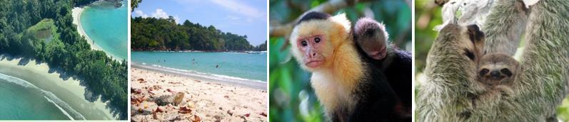 Full Day Tour Options Manuel Antonio National Park No trip to Costa Rica s mid-pacific region is complete without a visit to Manuel Antonio National Park; even though it is the smallest National Park