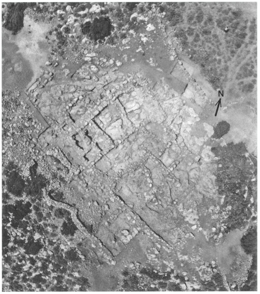 THE EXCAVATION OF C H R Y S O K A M I N O - C H O M ATA S 467 Figure 2. Aerial view of the site of Chrysokamino-Chomatas. Kite photograph by J. Driessen 5.