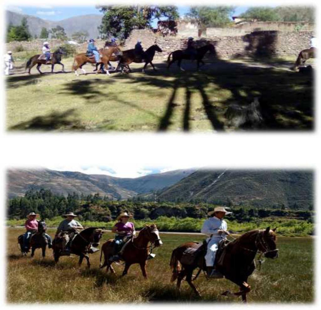 5.- Horse riding in the Sacred Valley (3 ½ hrs).
