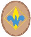 Webelos Resident camp is only for Webelos. Boys going into grades four and five in the fall of 2010. The program is the same at Camp Hansen and Camp Brown. 3.