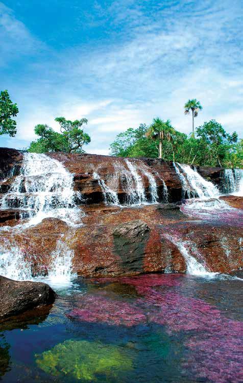 CAÑO CRISTALES This amazing Colombian river is located in the Sierra de la Macarena, and is also known as The River of Five Colors.