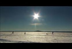 #: 324 SK-HD-001 Saskatchewan: Emma Lake: Close-up static shot of family cross country skiing on frozen lake
