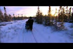 Manitoba: Churchill: POV following shot of dogsled going through forest area on sunny day (Winter)