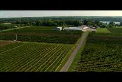 00:00:14:27 N Clip #: 397 ON-HD-007 Ontario: Aerial of farm/rural area near Niagara