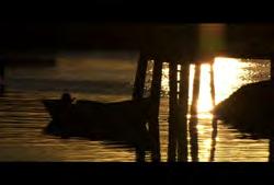 02:35:13:24 N 00:00:03:23 N Clip #: 544 NS-HD-003 Nova Scotia: Peggy's Cove: Static shot of boat tied to