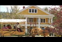 YT-HD-001 Yukon Territories: Dawson City: Static shot of man in horse and carriage riding past