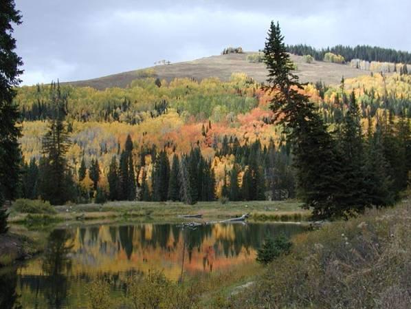 4 million acres are scattered through some of the most wide-open spaces in Utah and parts of Colorado (about 17,000 square miles).