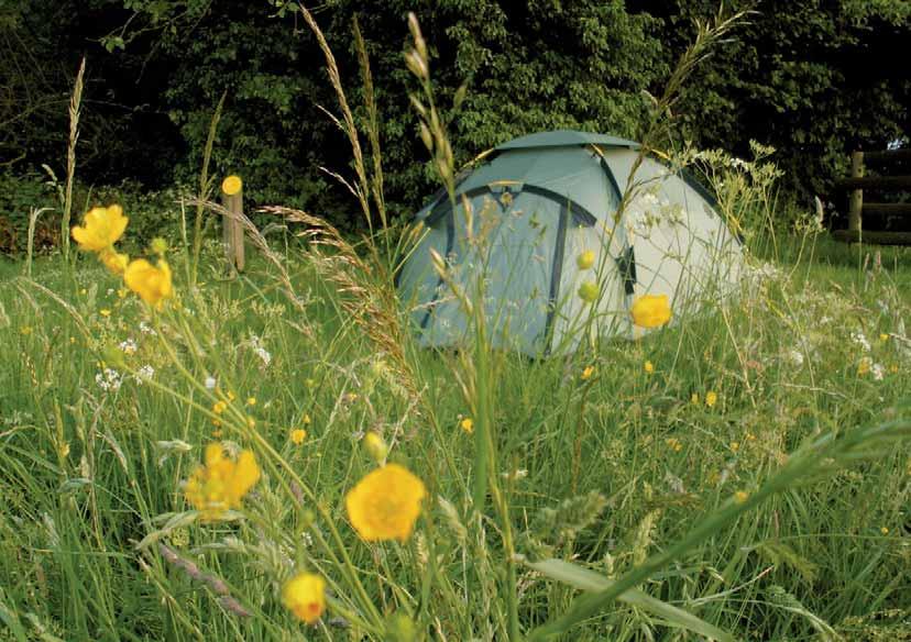 Flexi-Dome Touring Tents Ridgi-Dome Family Tents Pole & Sleeve Touring & Family Tents Summerhouses