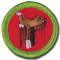 MERIT BADGES CONT. HORSE CORRALS TRADING POST OTHER TRAINING Horsemanship (Moderate) This is a fun but time-consuming badge.