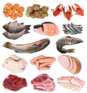 Unit Two Across the Curriculum Activities Activity Two: Life Skills Fresh Meat Market Beef, chicken, lamb, and turkey are different kinds of meat of fresh seafood in the Fresh