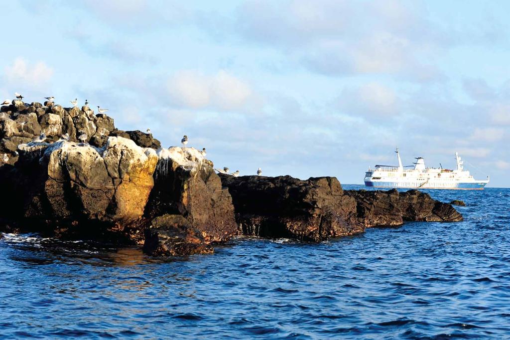 The 90-guest M/V Santa Cruz is ideally-designed and outfitted for exploring the Galápagos Islands Versatile.