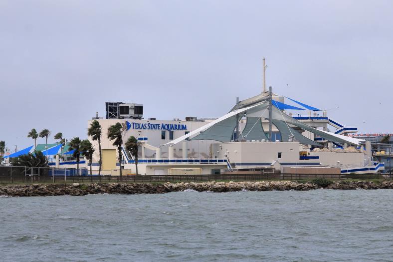 Tourism and military also drive a significant portion of the economy. Corpus Christi is located just inland from Mustang Island, which stretches from the Corpus Christi area to Port Aransas.