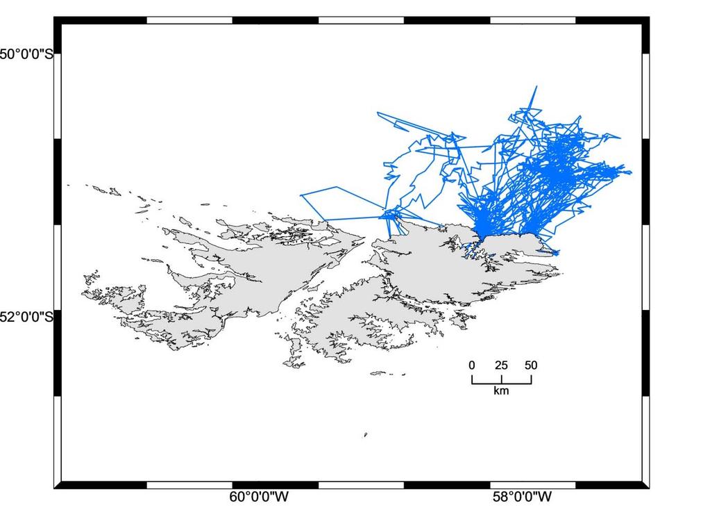 Fig 2: Preliminary results representing the at sea movements of adult male southern sea lions at the Falkland Islands, during March 2014.