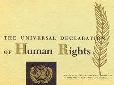 Декларацијата кои се елаборирани во меѓународни договори, како што се: Меѓународната конвенција за елиминирање на сите форми на расна дискриминација, Меѓународната конвенција за елиминирање на сите