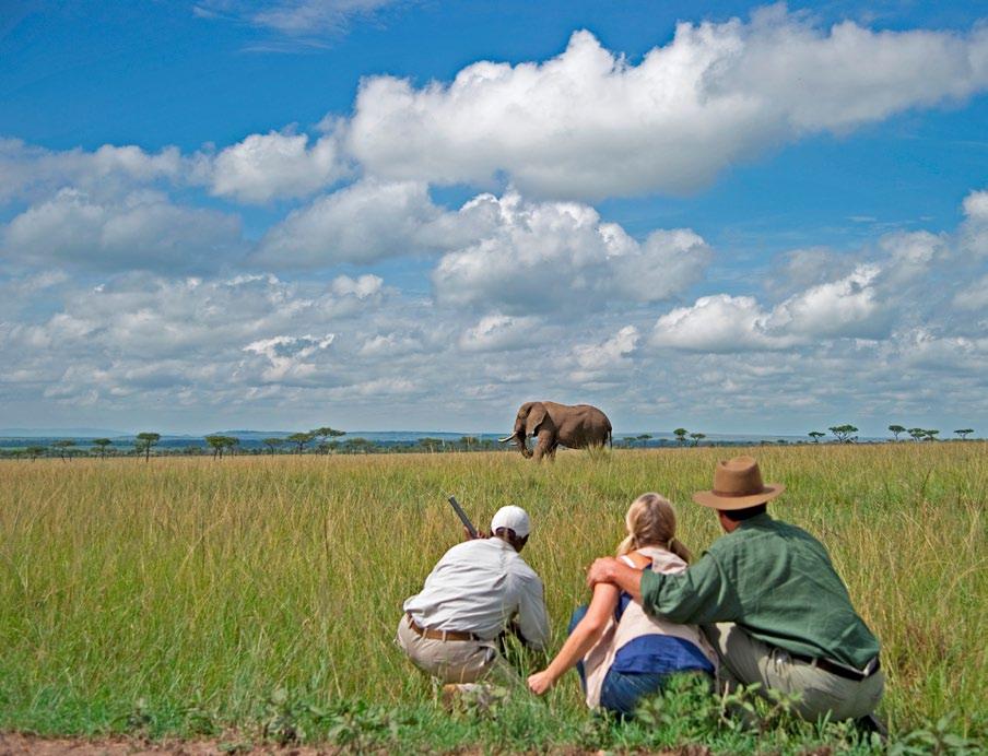 See the Big Five and more You can enjoy tailored game drives, sundowners in beautiful settings,