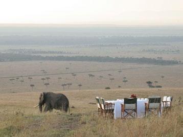 Mara Game Reserve, Samburu and Lewa Conservancy Activities and game viewing: Game drives take place in customised safari vehicles.