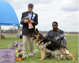 AM PM GSDC of Rochester NY Specialties, Saturday, May 10 th 2014 BEST OF BREED 149 BOB Abs GCh Shebland's Grayson Camareigh. DN27803401. 02/14/2007.