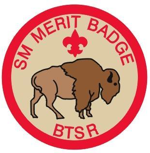 Advancement CAMP MERIT BADGE PROGRAM The Merit Badge prgram f the B.S.A. is ne f the finest educatinal tls available.