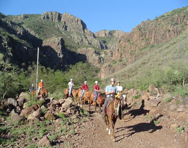 HORSE POLICY It is the plicy f the Buffal Trail Cuncil that all trail riders weighing ver 250 punds are nt permitted t ride ur hrses. This is fr the safety f bth hrses and participants.
