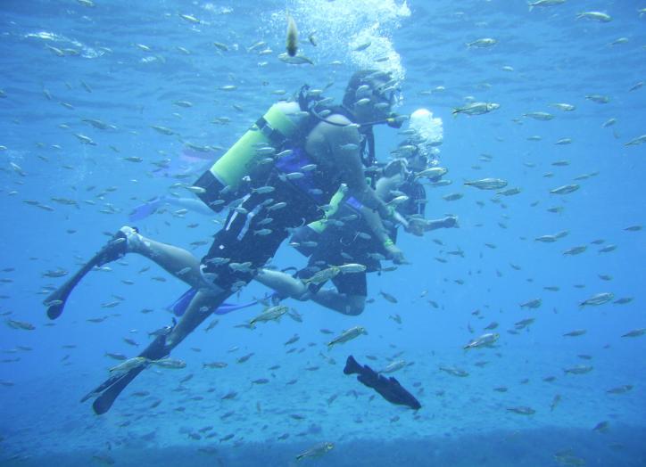 !! At camp, the first SCUBA class will be a review f that material as well as a test that will cmplete the required classrm wrk.