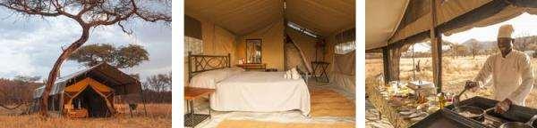 The Kati Kati Explorer Camp is located in the central Serengeti year-round and is the ideal base for exploring the open plains. You will have full camp service with your home comforts.