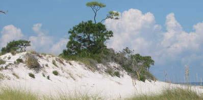 National Preserve NPS Everglades
