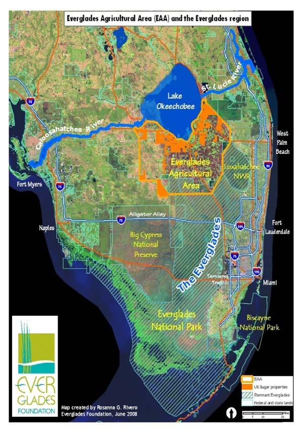 Everglades: Let it Flow Bridge Tamiami Trail to increase water flow into Florida Bay and the Gulf.